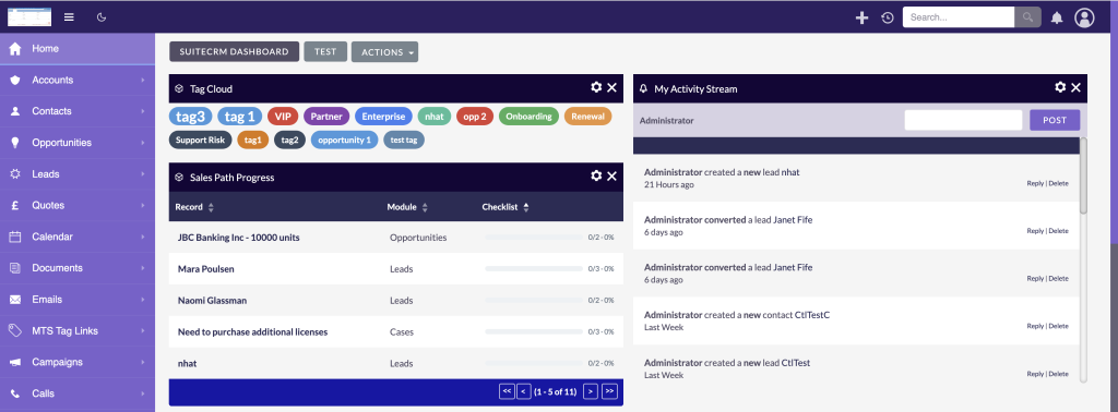 Best practices for standardizing SuiteCRM tags customization in enterprise environments
